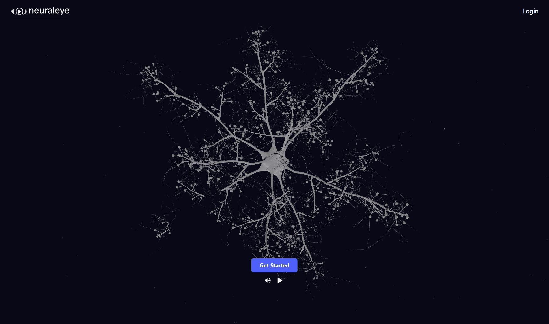 NeuralEye interface preview